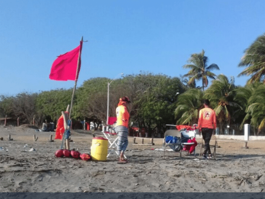 Sinaproc mantiene bandera roja en playa Monagre por presencia de serpientes marinas