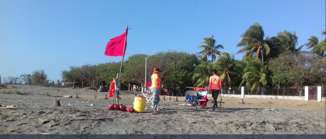 Sinaproc mantiene bandera roja en playa Monagre por presencia de serpientes marinas