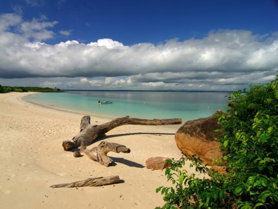 Ministro de Ambiente autoriza la reapertura de Isla Iguana