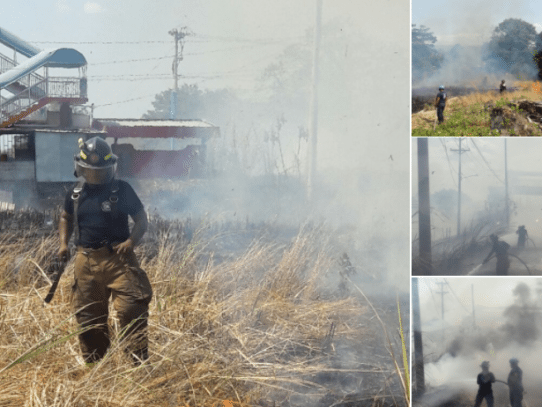 Se incendia herbazal en el sector de Pácora hacia Tataré; CBP atiende situación