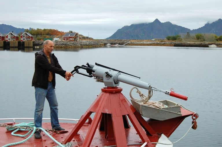 Noruega aumenta sus cuotas para reanimar la caza de ballenas