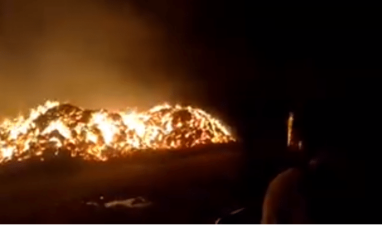 Incendio forestal en el Coco de Penonomé afecta 25 mil pacas de heno