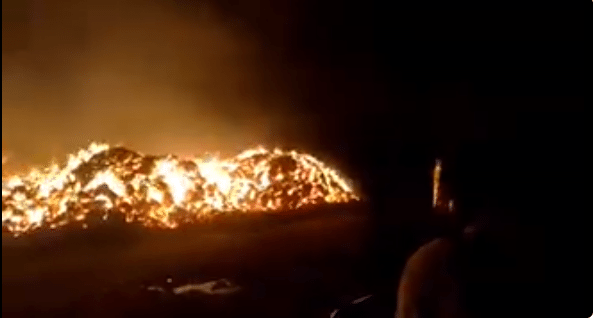 Incendio forestal en el Coco de Penonomé afecta 25 mil pacas de heno