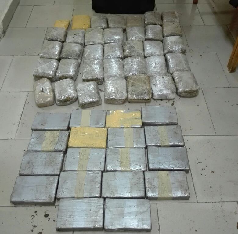 Incautan 53 paquetes de presunta droga en Santa Marta, San Miguelito