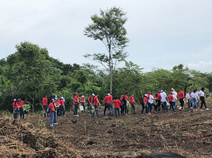 Decenas de voluntarios participan del IV Gran Día Nacional de Reforestación