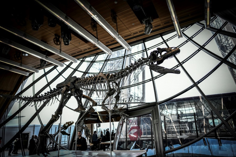 Esqueleto de un dinosaurio carnívoro, vendido por U$ 2,3 millones en París