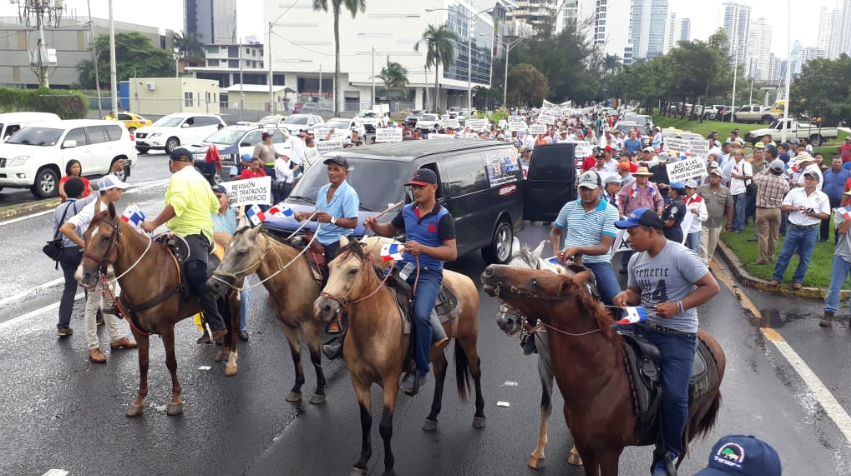 Junto a caballos y vacas productores marchan para pedir alto a importaciones