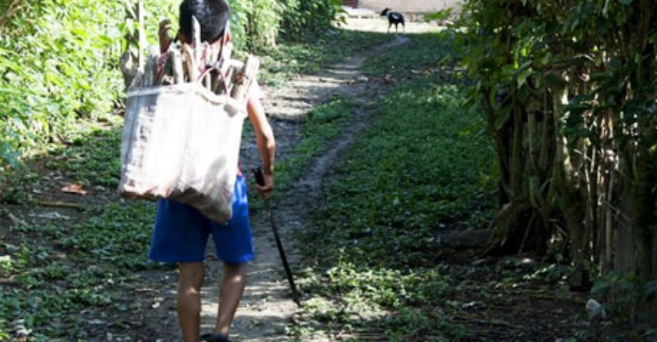 Panamá es excluida por EE.UU. de lista de trabajo infantil