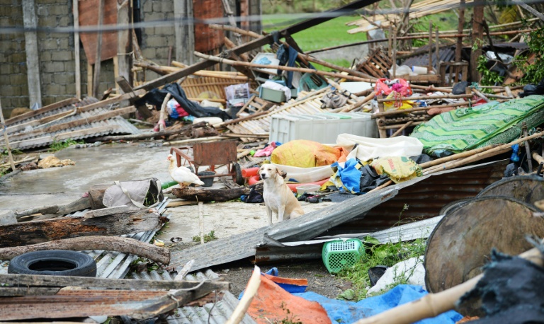 Víctimas de Tifón: "Daba la impresión de que era el fin del mundo"