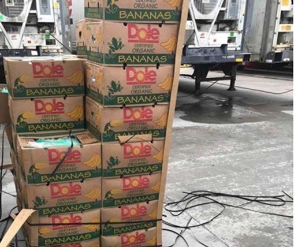 En prisión de Texas donan plátanos en cajas con cocaína