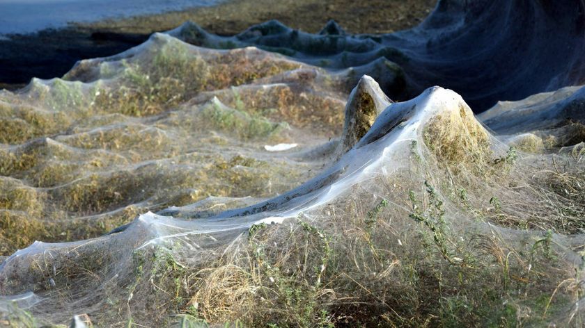 Un lago en Grecia recubierto por una gigantesca telaraña