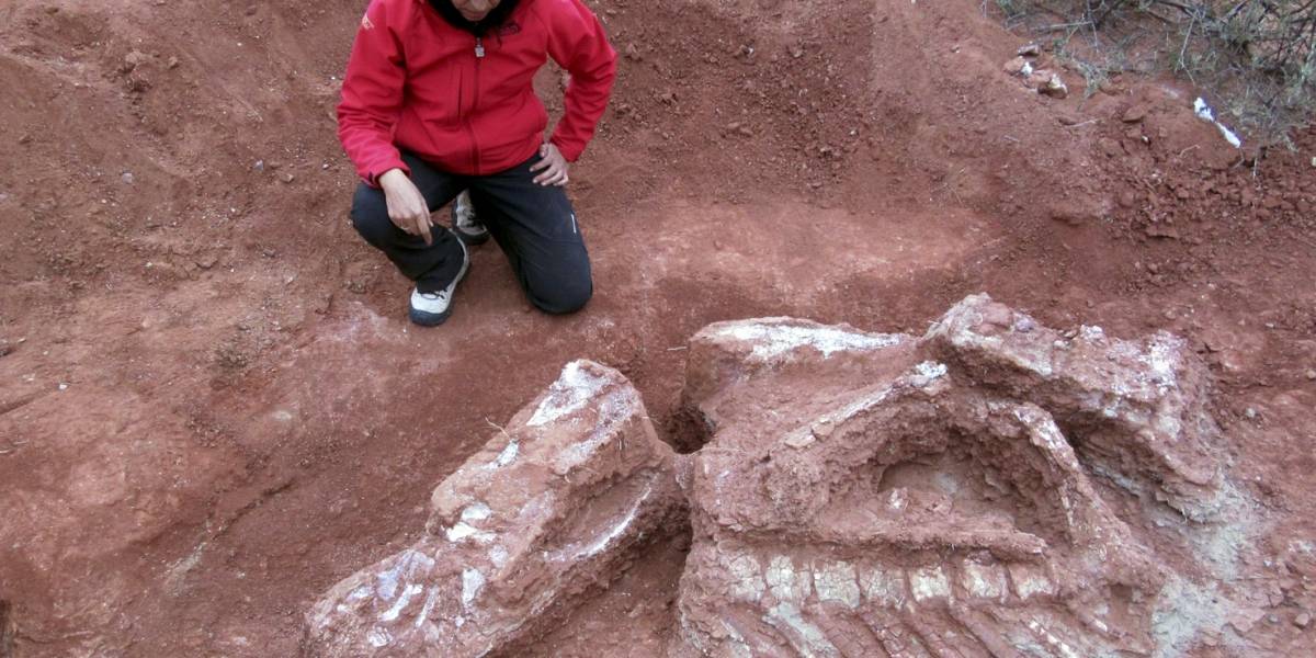 Hallan en Argentina restos de una nueva especie de dinosaurio saurópodo