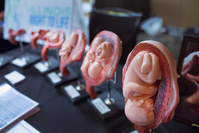 El segundo feto genéticamente modificado en China tiene 12 a 14 semanas