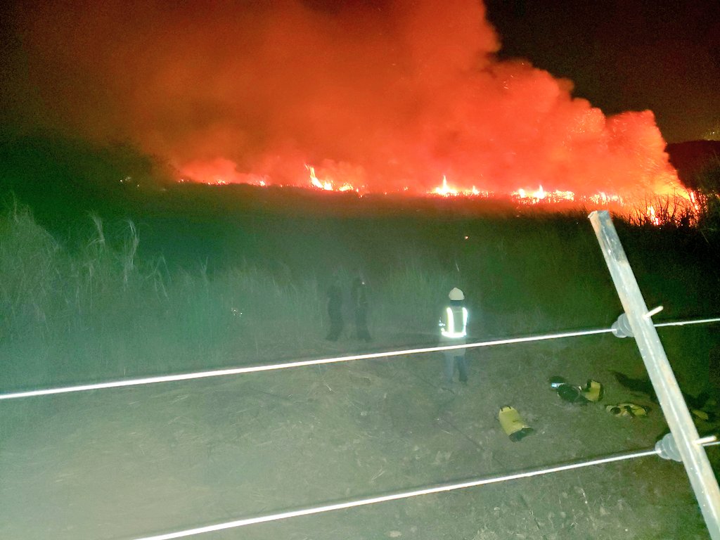 Incendios de herbazales afectan Volcán y Costa Sur