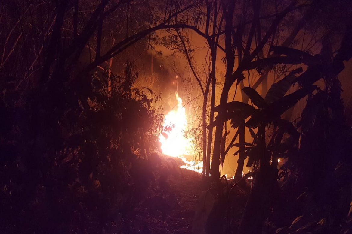 Incendios consumen cerca de 1.000 hectáreas de una área protegida en Darién
