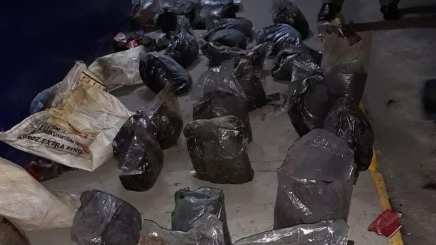 Detención provicional para colombianos que transportaban cocaina negra en Colón