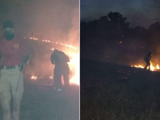 Incendios en fincas de Chiriquí y Soná devastan más de 42 hectáreas