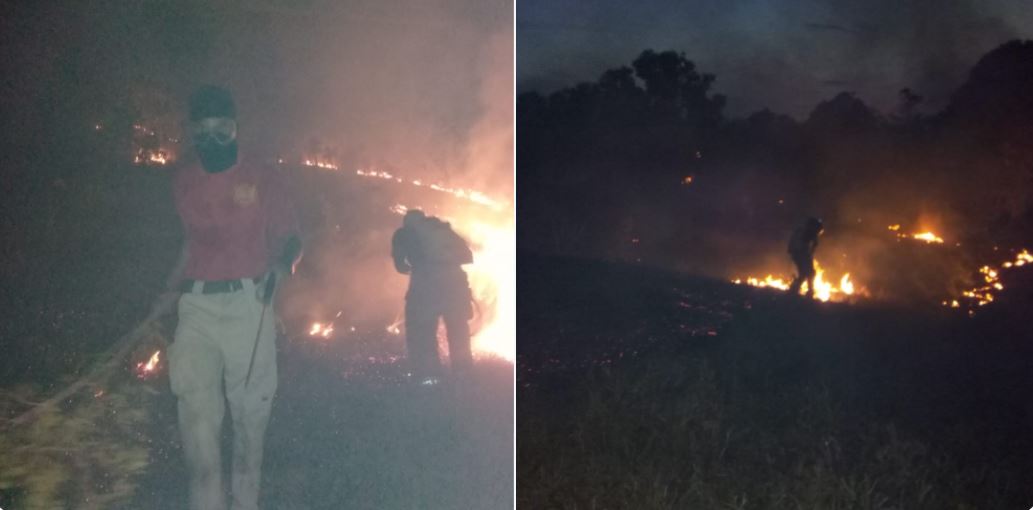 Incendios en fincas de Chiriquí y Soná devastan más de 42 hectáreas