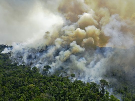 Nuevo récord de deforestación en la Amazonia brasileña en 12 años