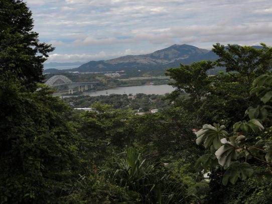 Panamá hace llamado para combatir el cambio climático
