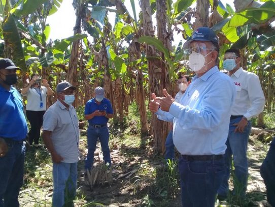 Gobierno llevó respuestas a productores de plátano de Barú