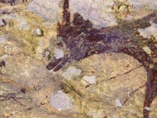 Hallada en Indonesia la pintura rupestre más antigua del mundo