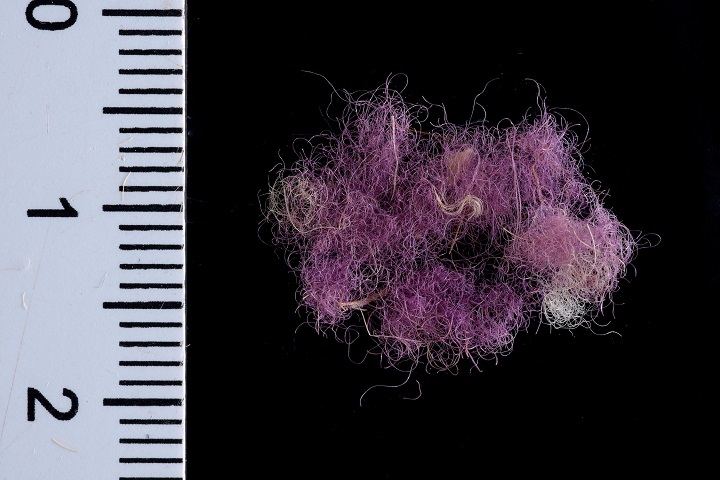 Descubren en Israel tejidos púrpura de 3.000 años de antigüedad