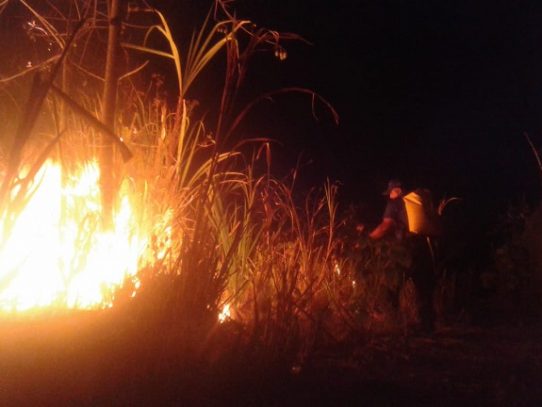Bomberos de Panamá: Los incendios de masa vegetal afectan la salud