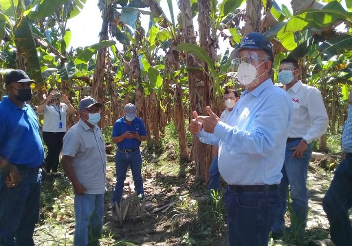 Productores de Barú afectados por huracanes ETA e Iota reciben apoyo gubernamental