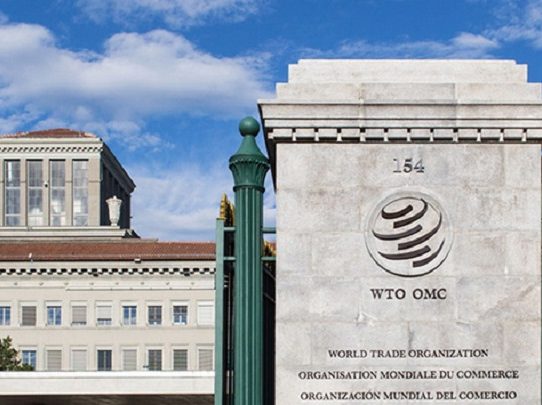 Anavip se pronuncia sobre el proceso de Costa Rica a Panamá ante la OMC
