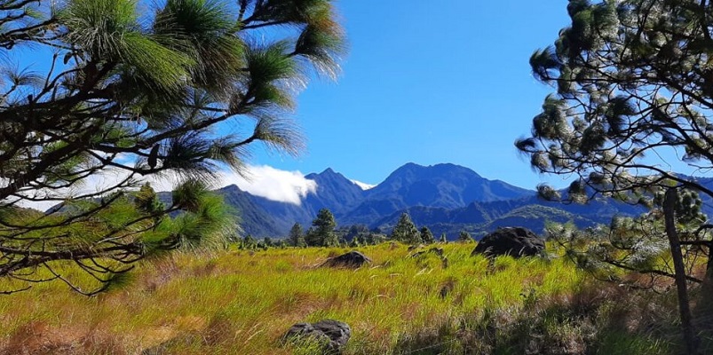 Parque Nacional Volcán Barú es el principal destino turístico de Chiriquí
