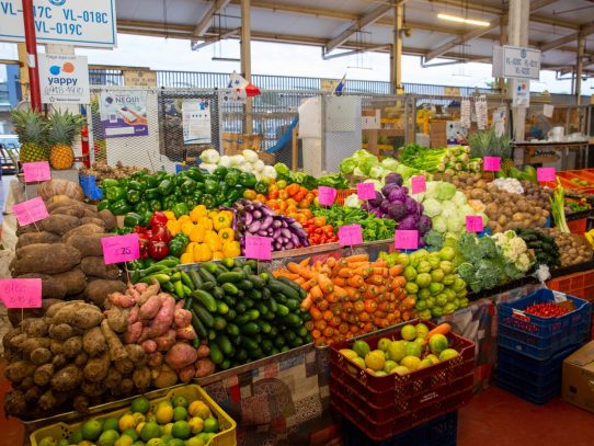 MIDA promete fortalecer procesos de la cadena alimentaria en Merca Panamá
