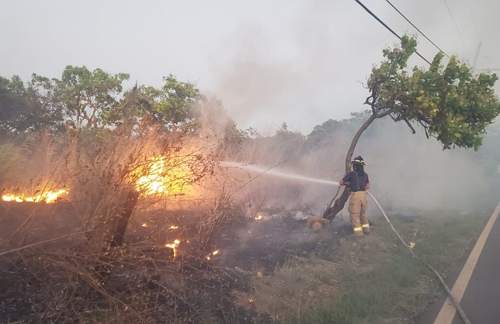 Panamá, Chiriquí y Panamá Oeste las provincias con más casos de incendios de herbazales