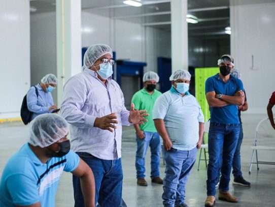 Llevan respuestas a los productores de tomate en Chiriquí