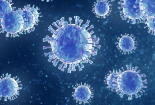 Células T asesinas elevan inmunidad ante variantes del covid-19, según estudio