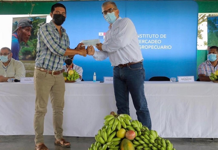 Productores de Bocas del Toro reciben pago por sus cosechas