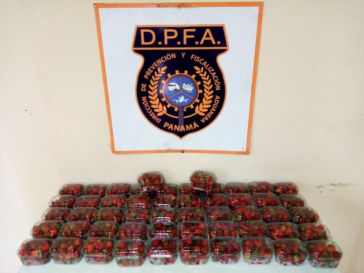 Aduanas detecta el ingreso de fresas de presunto contrabando introducidas por el sector fronterizo de Paso Canoas