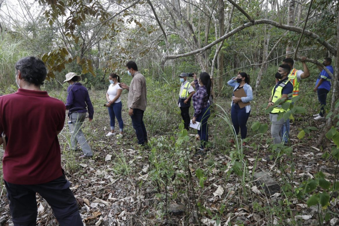 Nueva oportunidad de vida para fauna silvestre