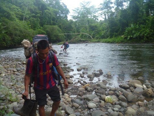 Denuncian pérdida de bosques en Darién