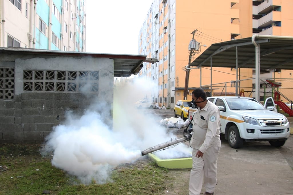 Disminuye en un 81% los casos de dengue en Panamá