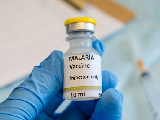 Proyecto de vacuna contra la malaria muestra alta eficacia