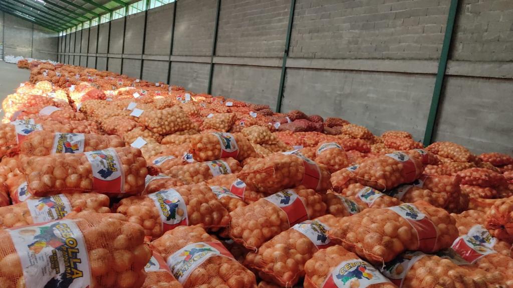MIDA compra cebolla a 257 productores coclesanos afectados por lluvias