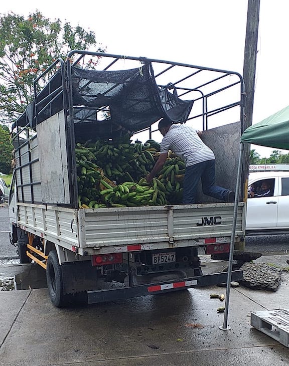 Cadena Agroalimentaria podrá movilizarse en Chiriquí y Veraguas sin restricciones