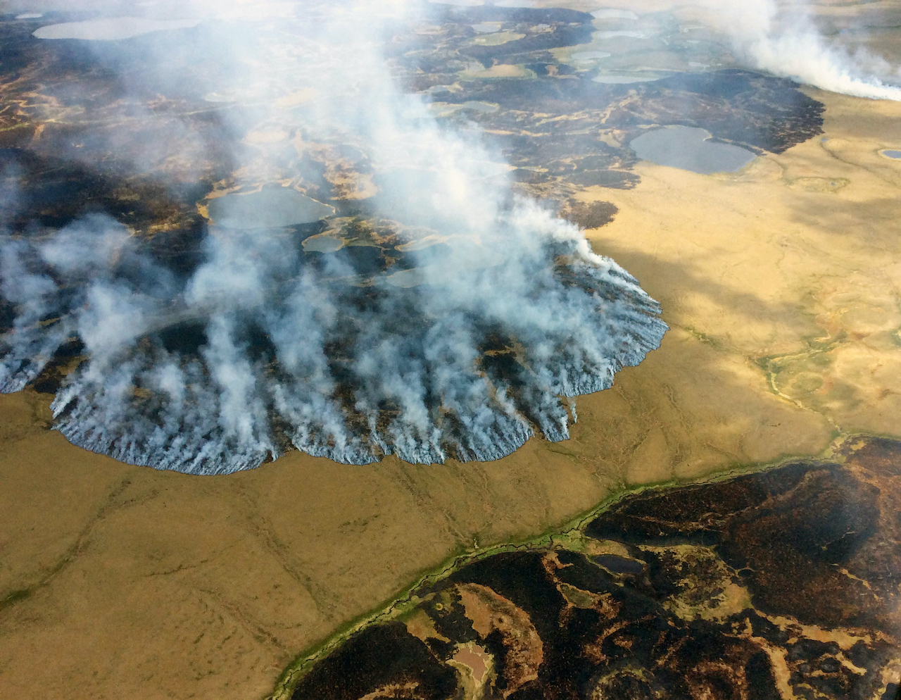 ‘incendios Zombi Los Incendios Que Se Rehúsan A Morir En Segundos