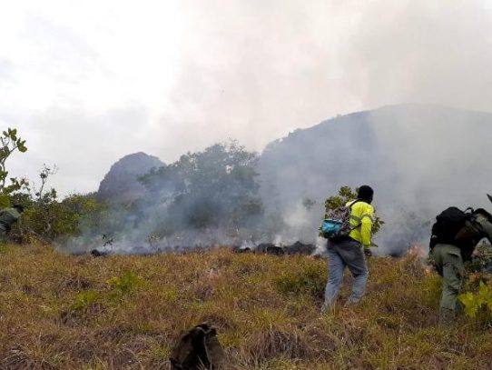 Más de 30 hectáreas de reserva hídrica afectadas por incendio