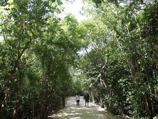 La Selva Maya gana casi 11.000 hectáreas con un proyecto multinacional