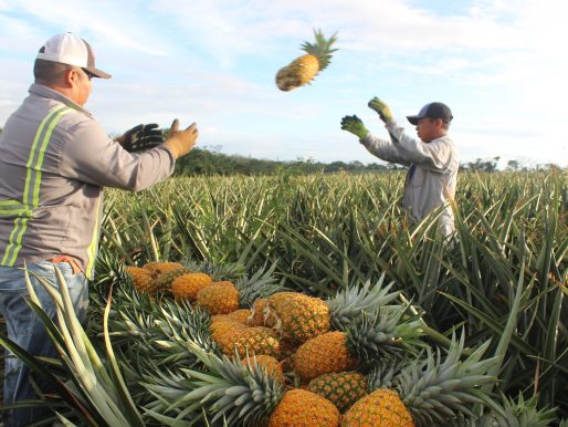 Grupo arbitral da la razón a Costa Rica en disputa comercial con Panamá