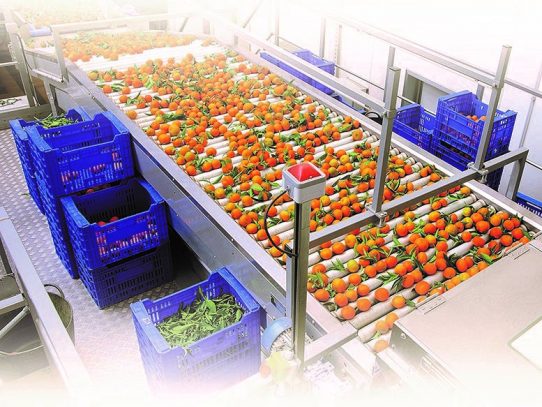 Inversionistas italianos evalúan construir plantas procesadoras de frutas en Panamá