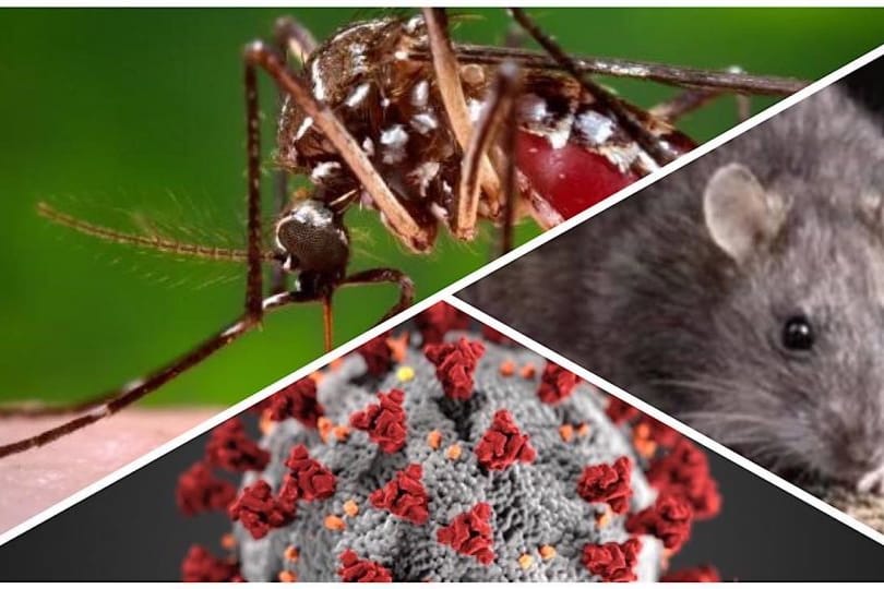 “Coinfección por Dengue y Hantavirus con Buenos Resultados: un caso Clínico de Panamá”