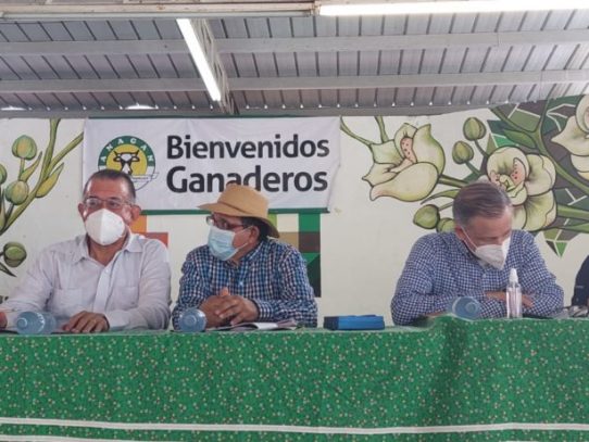 Ganaderos panameños se reúnen en Los Santos para fortalecer el sector